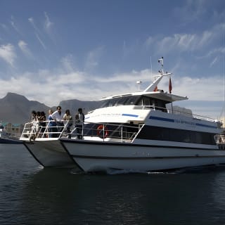 Cruise and Dine Lunch / Cape Town: Coastal Motor Cruise and 2-Course Lunch 5