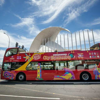 Santa Cruz de Tenerife: Excursión en bus turístico Hop-on Hop-off de 24 ó 48 horas 1