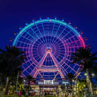 The Wheel at ICON Park 5