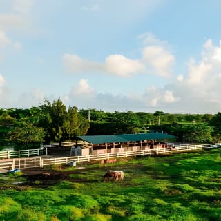 Horseback Riding Tour at Private Ranch 13