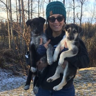 Dog Sledding Adventure in Willow, Alaska 18