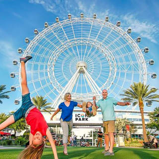 The Wheel at ICON Park 3
