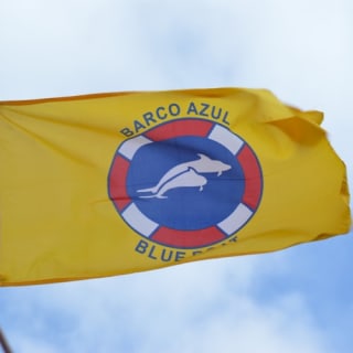 Costa Adeje: Crucero guiado de 2 horas para avistar ballenas y delfines 2