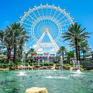 The Wheel at ICON Park 1