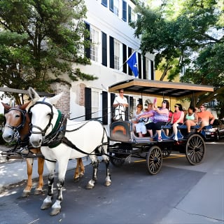 Daytime Horse-Drawn Carriage Sightseeing Tour of Historic Charleston 13