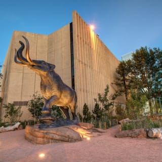Denver Museum of Nature & Science: Entry Ticket 10