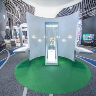 FIFA Museum : billet d'entrée 14