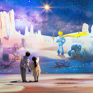 The Little Prince: The Journey of Stars 7