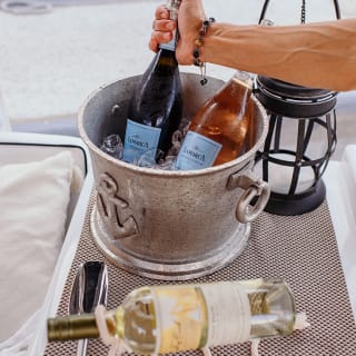 Luxuoso giro in motoscafo con degustazione di vino, charcuteria e avvistamento di leoni marini 5