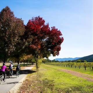 2-Night Murray to Mountain Trail Bike Tour from Beechworth 3