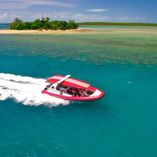 Express Low Isles Reef Sprinter Snorkelling Tour 1