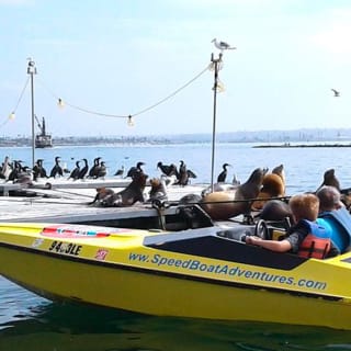 San Diego Harbor Speed Boat Adventure 4