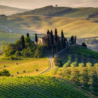 Val D'Orcia, Montepulciano e Pienza: Excursión de un día desde Florencia 7