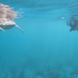 Snorkeling in Paradise - Videos Included 3