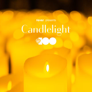 Candlelight: 100 Jahre Warner Bros. 2