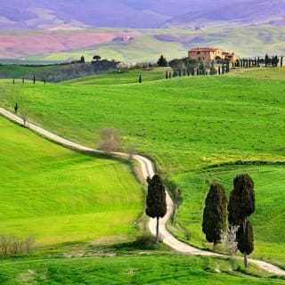 Val D'Orcia, Montepulciano e Pienza: Excursión de un día desde Florencia 8