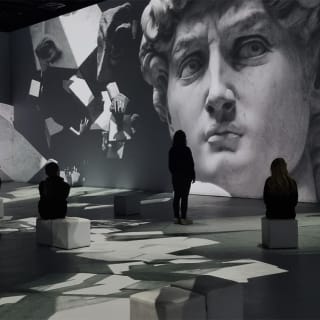 LEONARDO VERSUS MICHELANGELO 5