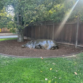 Palo Alto Murder Mystery: Solve the case! 3