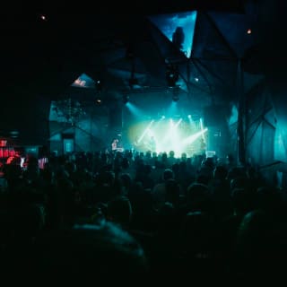 Berliner Klub : Monkey Safari (Extended Set) 4