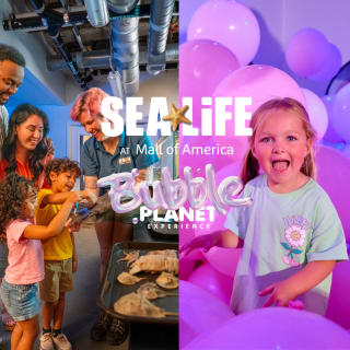 Bundle: Bubble Planet + SEA LIFE Aquarium 2