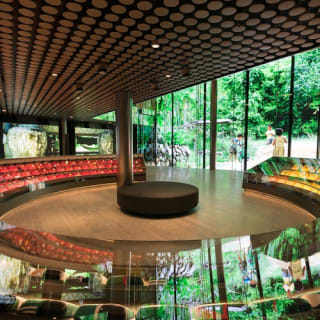 FIFA Museum : billet d'entrée 34