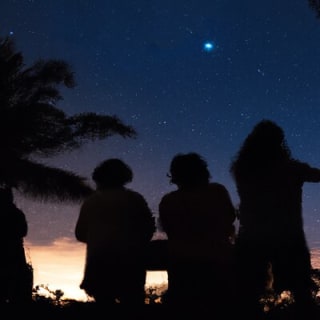 Night Sky Stargazing Tour a Punta Gorda, Florida 4