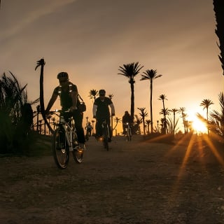 Excursion à vélo hors route de la Palmeraie au départ de Marrakech 1