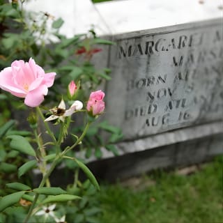 Tour del cimitero e del Grant Park 4