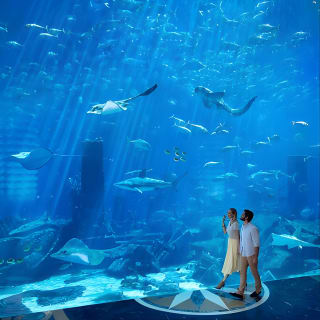 Skip the Line: ingresso per Lost Chambers da Atlantis The Palm 3