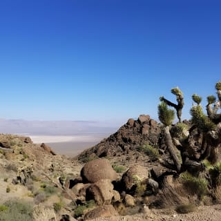 Guided or Self-Guided Road Bike Tour of Red Rock Canyon 3