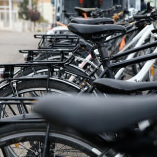 Noleggio Bici a Bari 4