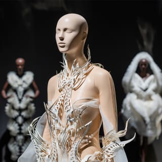 Mind & Body Package: Mirror Mirror + Iris van Herpen 5