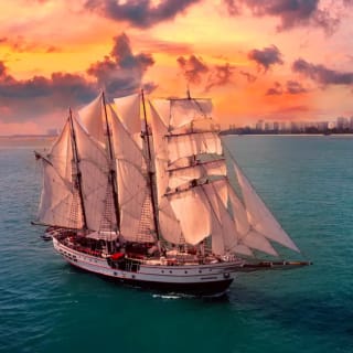 Royal Albatross Sunset Dinner Cruise 1