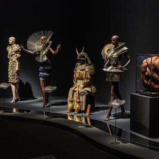 Mind & Body Package: Mirror Mirror + Iris van Herpen 6