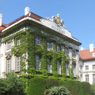Sigmund Freud - Audio Guide and Self Guided Tour 14