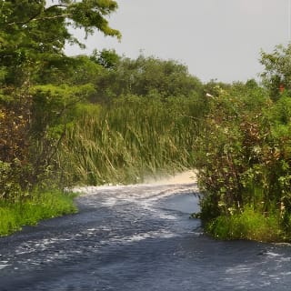 Everglades Airboat Tour near Orlando Florida 5