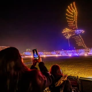 WILD : le spectacle de drones lumineux - Worcester 3