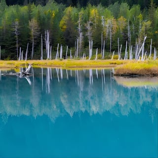 Glacier & Wildlife Discovery Tour 2