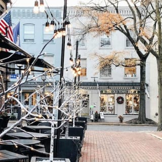 Mount Vernon & Old Town Alexandria: Half-Day Tour 3