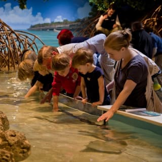 New England Aquarium : billet d'entrée 26