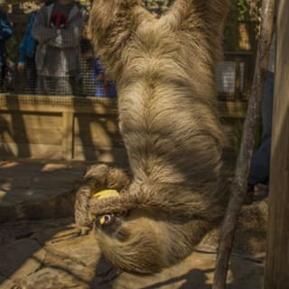 Wild Florida Gator Park Admission 2