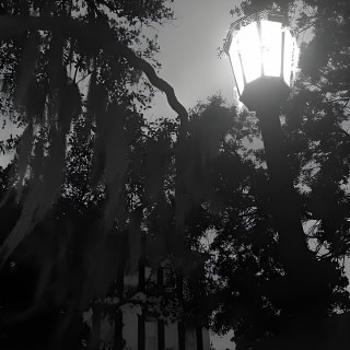 Fraidy Cat: The Family Fun Ghost Tour of Savannah 7