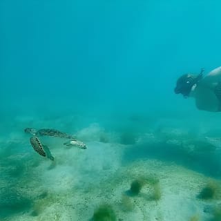 Snorkeling in Paradise - Videos Included 4