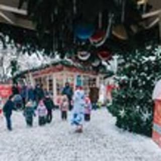 Williamsburg’s Winter Wonderland: A Historic Holiday Stroll 2