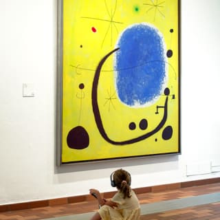 Fundació Joan Miró: Visita guiada 5