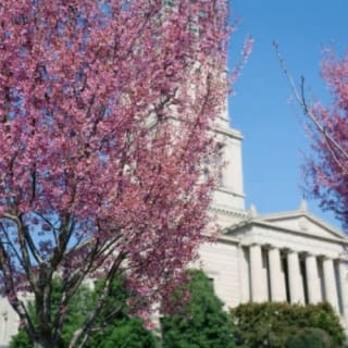 Mount Vernon & Old Town Alexandria: Half-Day Tour 5