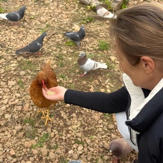Soller Valley Walk with Orange Farm Visit 8