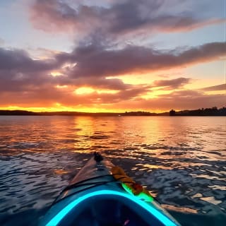 Sesión de remo al amanecer en el puerto de Syndey 2