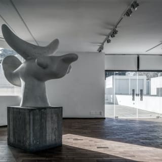 Fundació Joan Miró: Visita guiada 6