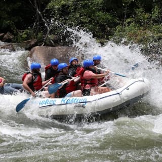 Ocoee River Middle Whitewater Rafting Trip (Most Popular Tour) 10